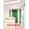 دیوار سبز خزه ای برای کیلینیک زیبایی